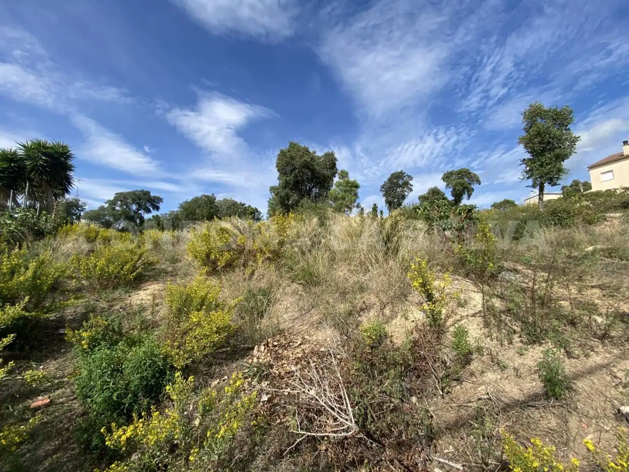 Rural land for sale in Riudarenes, imagen 4
