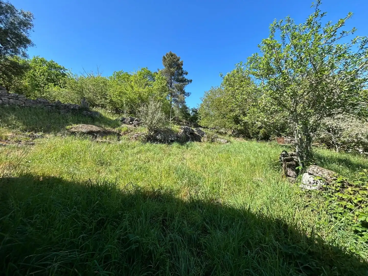 Finca rústica en venda en Cotobade amb Balcó