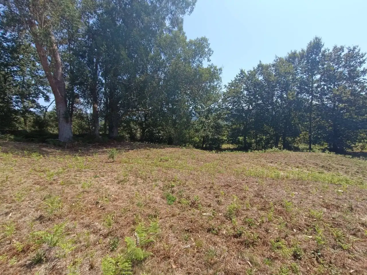 Lands and plots for sale in Calle Cabadas, imagen 12
