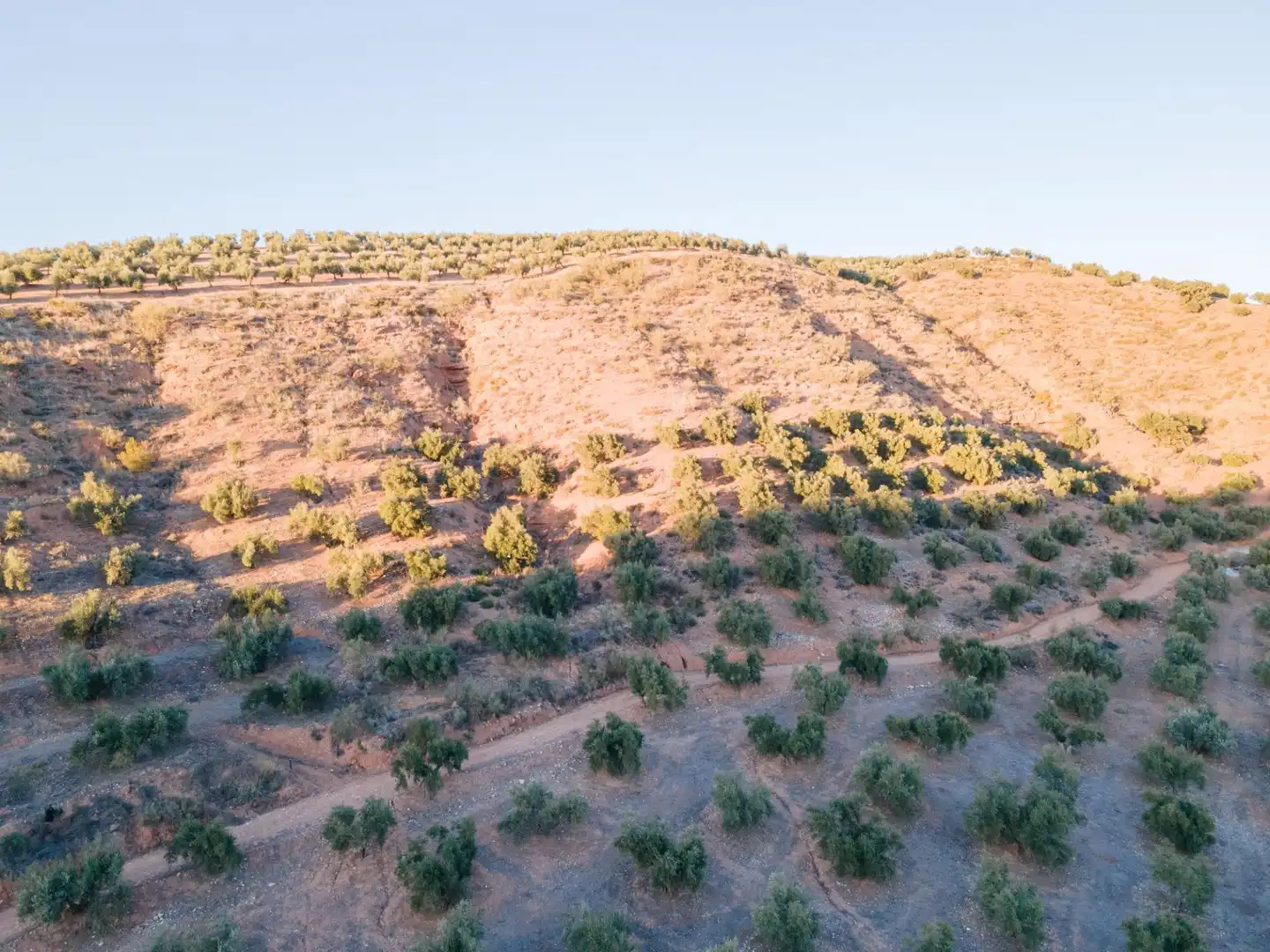 Terreno rustico in vendita a Calicasas, imagen 12