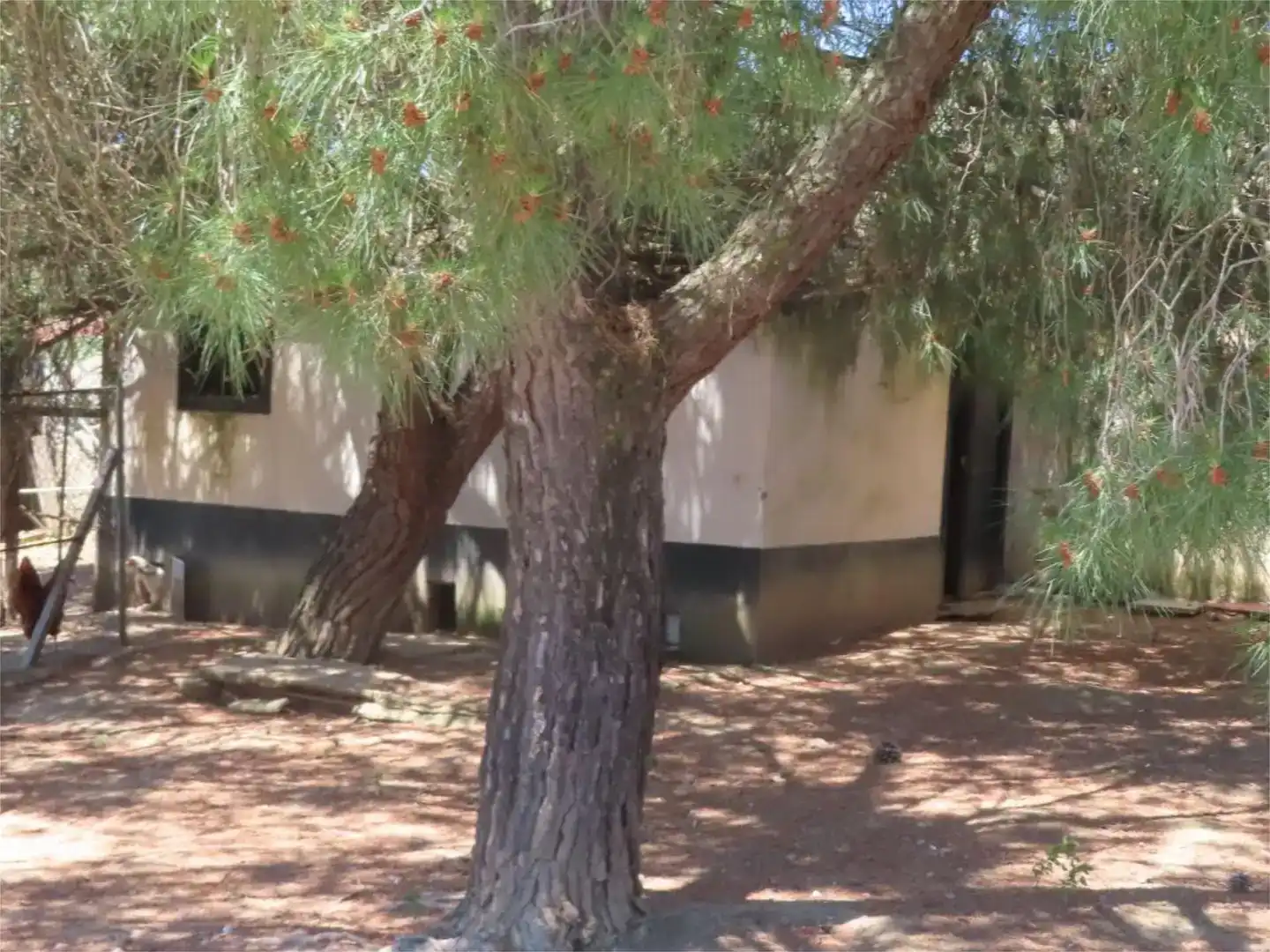 Vista exterior de Finca rústica en venda en Villar del Rey amb Aire condicionat, Jardí privat i Traster