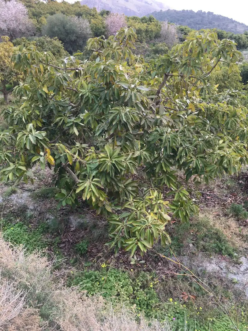 Terrenys i solars en venda a Molvízar, imagen 7