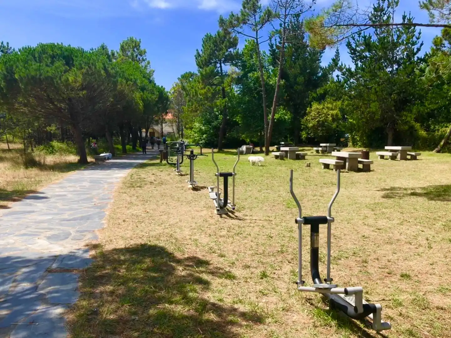 Apartament de lloguer a Rúa Anchoa, 30, Fisterra