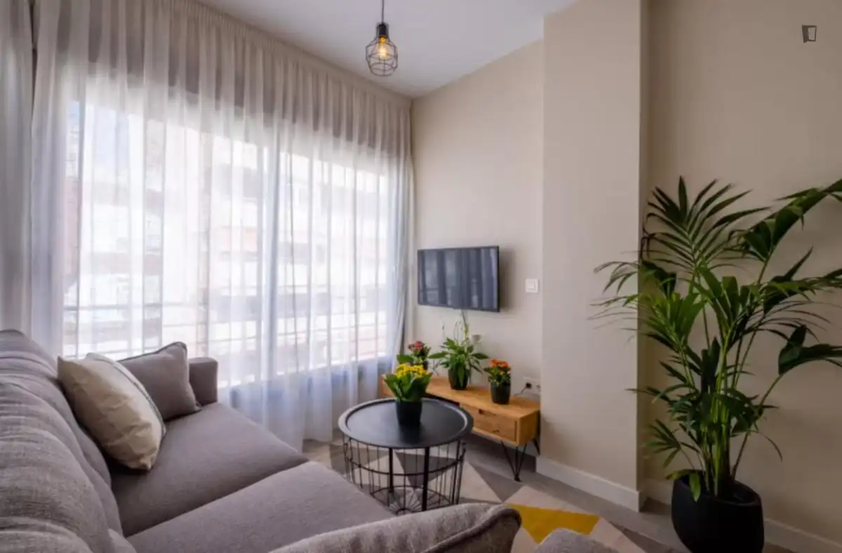 Living room of Study for rent in Málaga  with Air Conditioner, Furnished and Washing machine