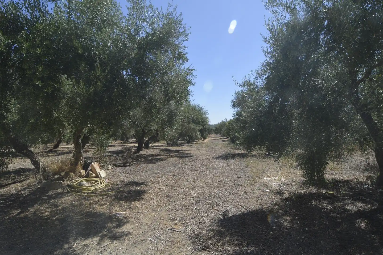 Casa rústica amb jardí en venda a Marchena, imagen 40