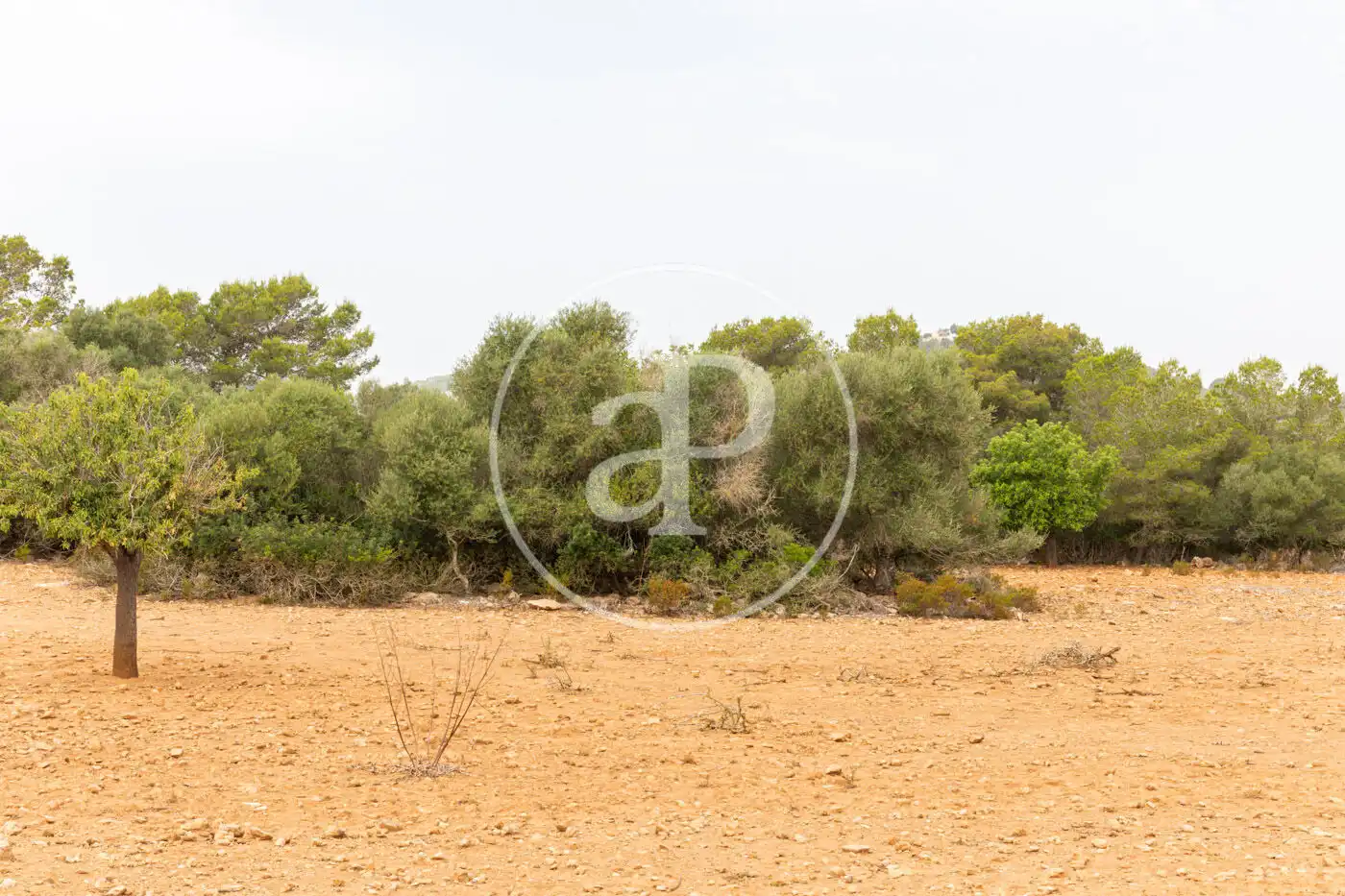 Terreno residenziale in vendita a Cami de.'s Presos, imagen 19