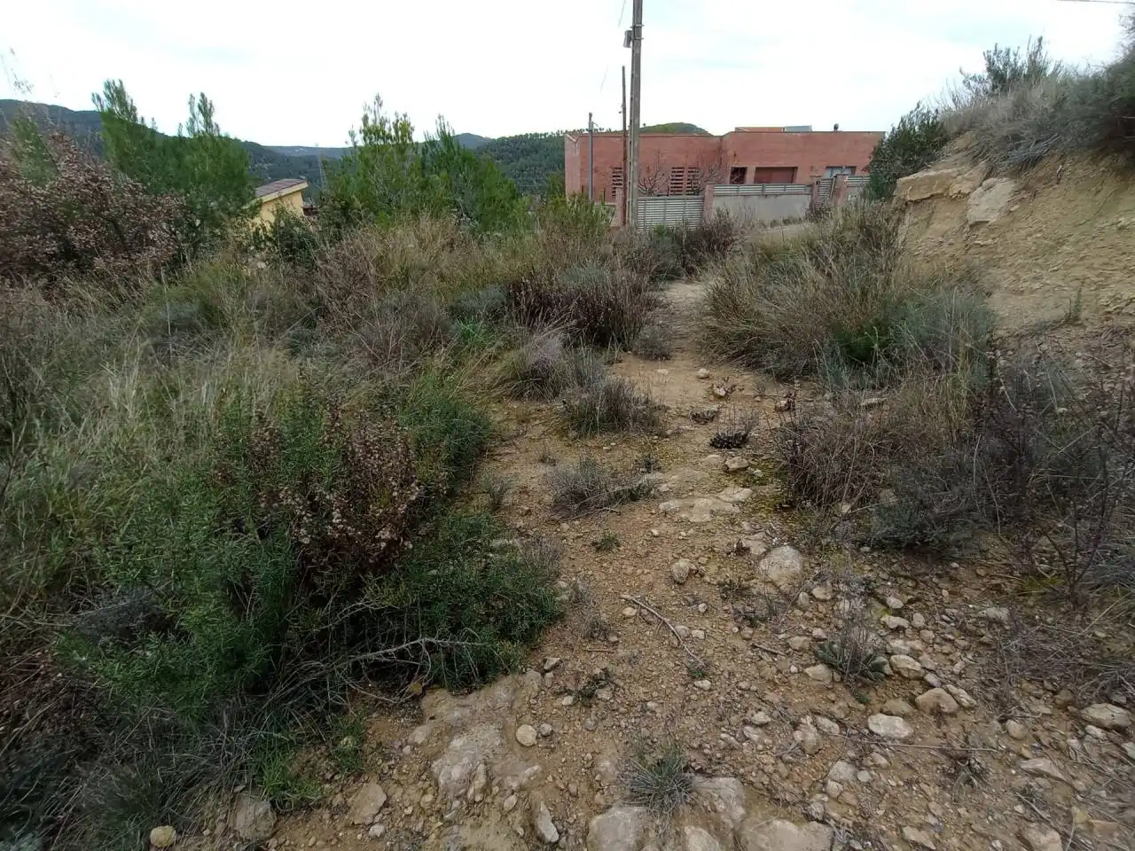 Terreny rústic en venda a Castellbell i el Vilar, imagen 2