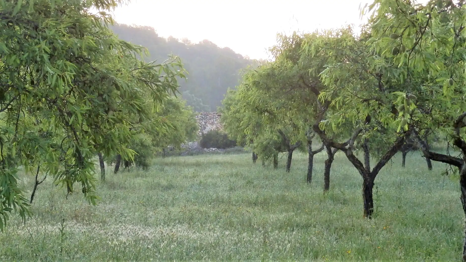 Terreno rustico in vendita a Miravet, imagen 4