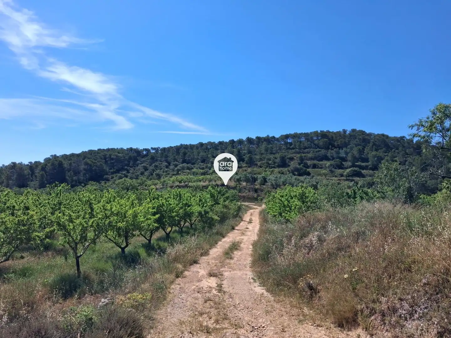 Land for sale in Madrid