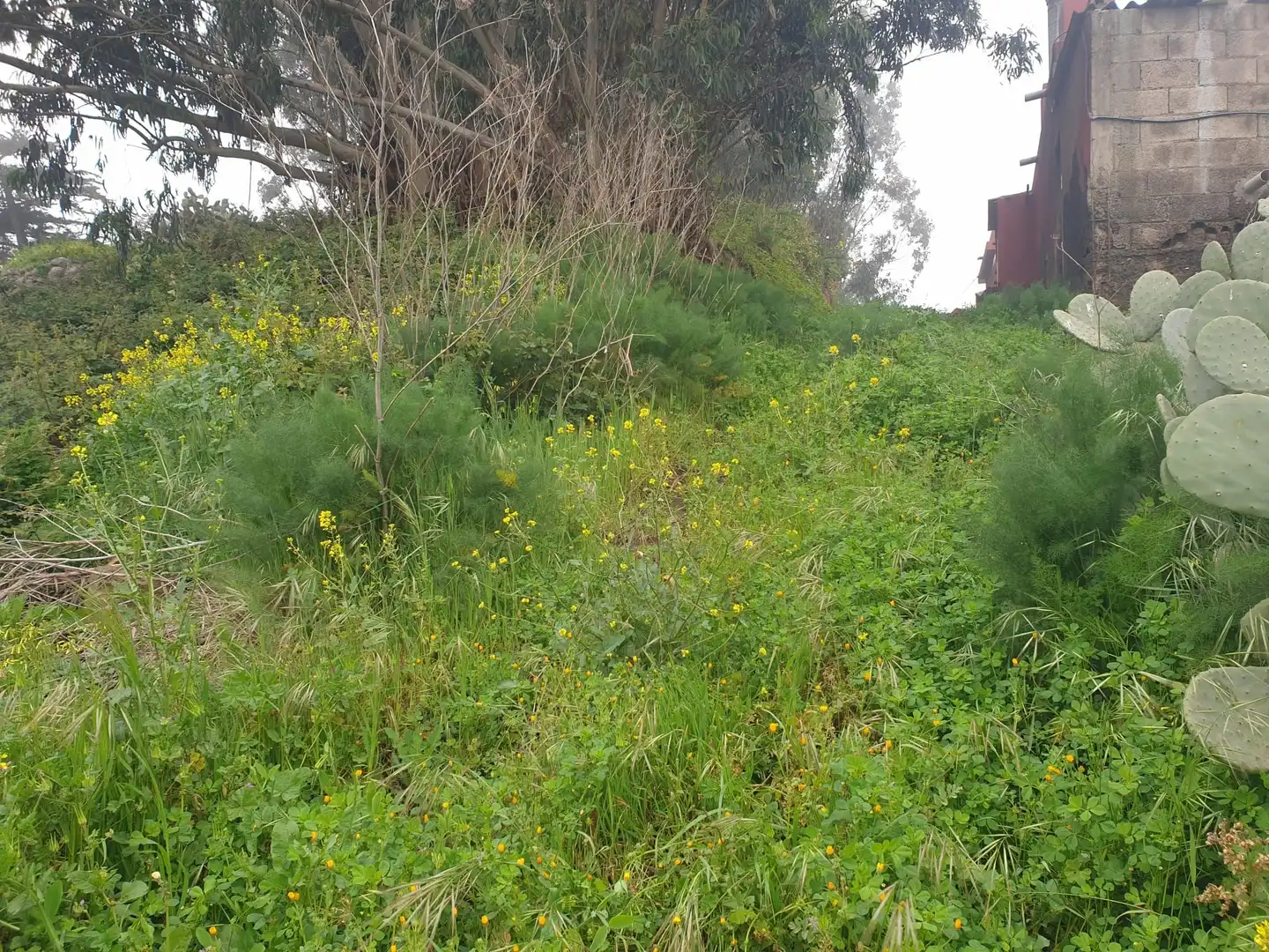 Terreni e lotti in vendita a Hermandad de Campoo de Suso, imagen 5