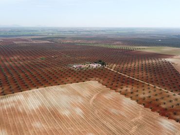Rustikales Grundstück zum Verkauf in Carretera carretera almendralejo badajoz EX-300