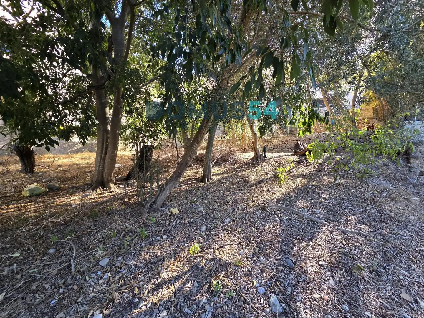 Residential land for sale in Campanet, imagen 17