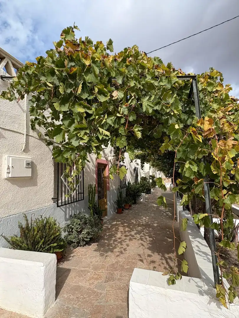 House with garden for sale in Pedanías Sur, imagen 6