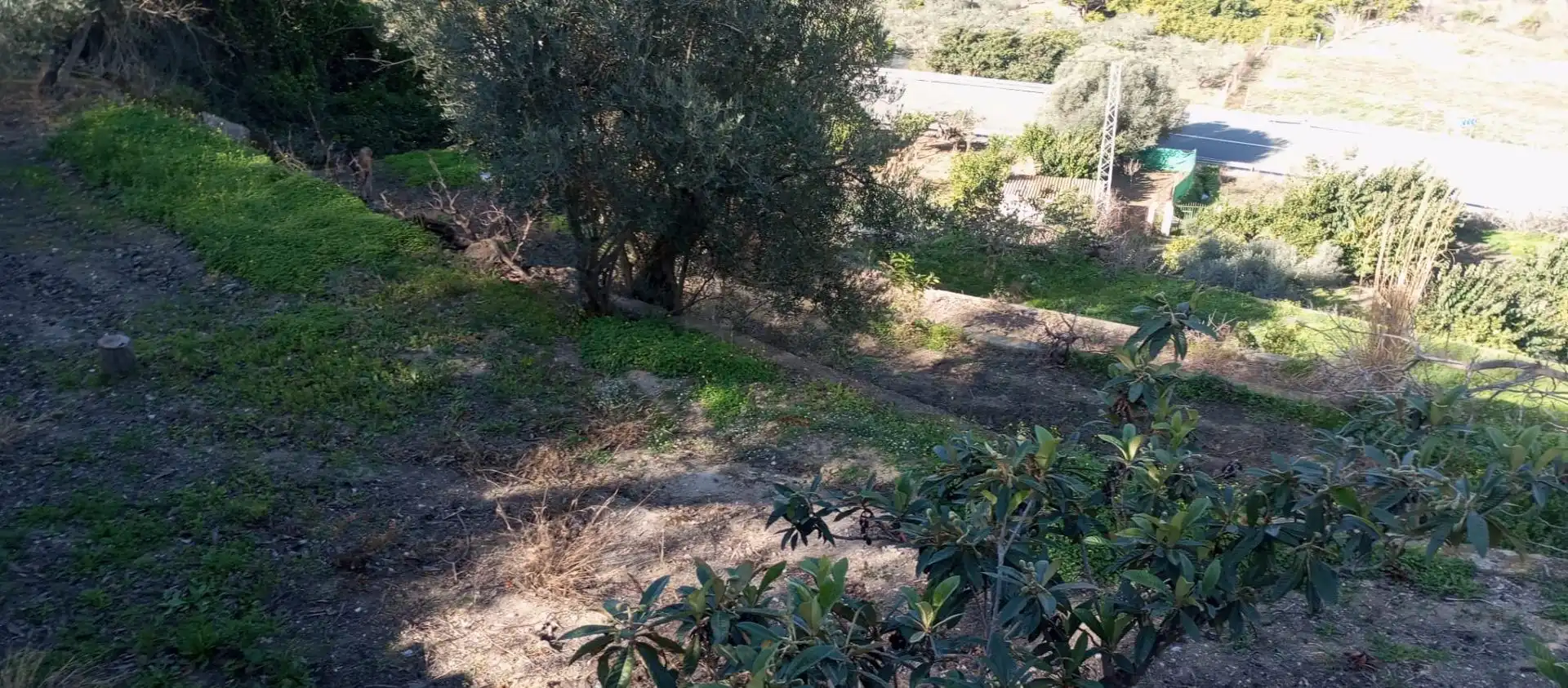 Casa rústica amb jardí en venda a Vélez de Benaudalla, imagen 13
