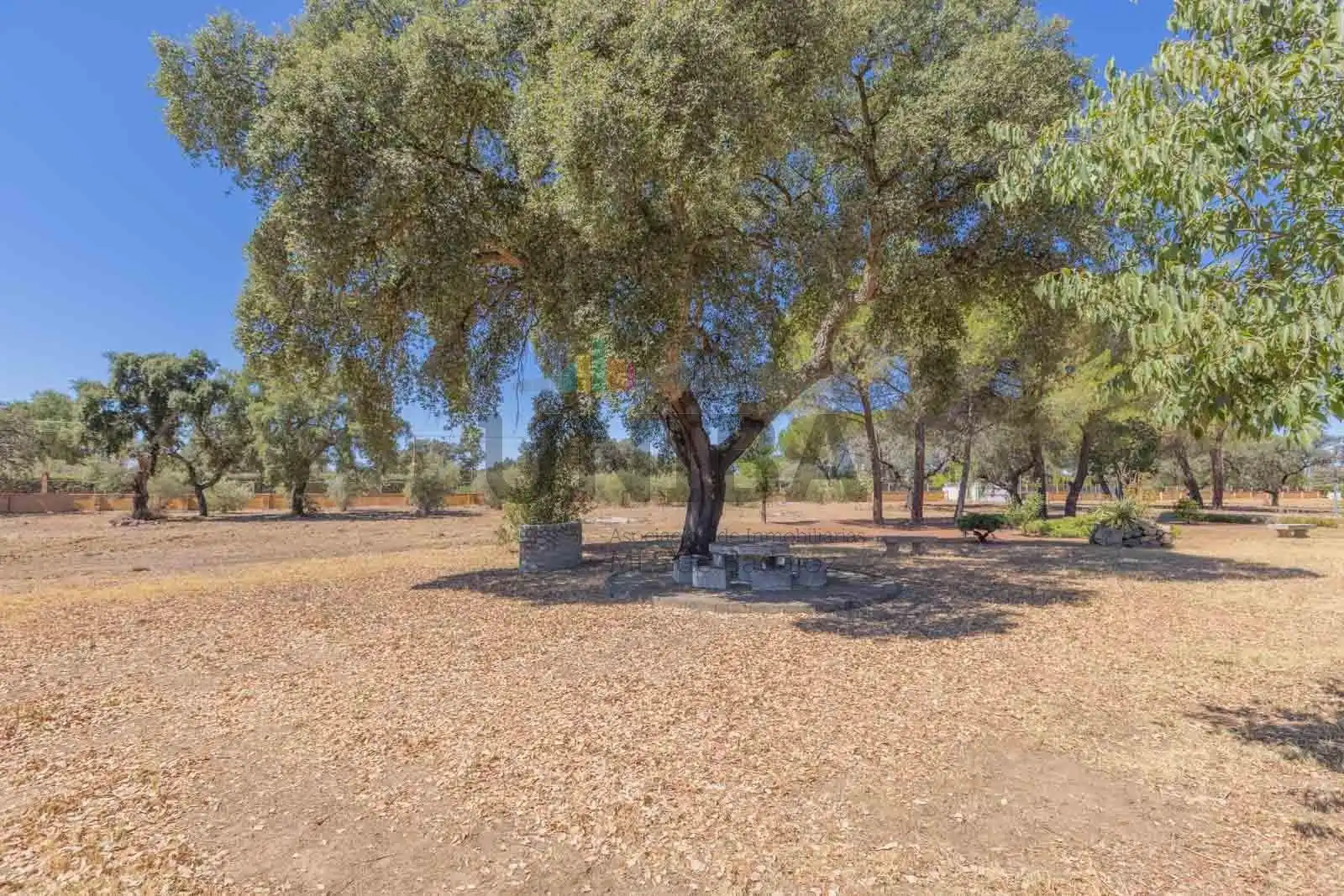 Chalet con piscina en venta en Pedanías de Badajoz, imagen 46