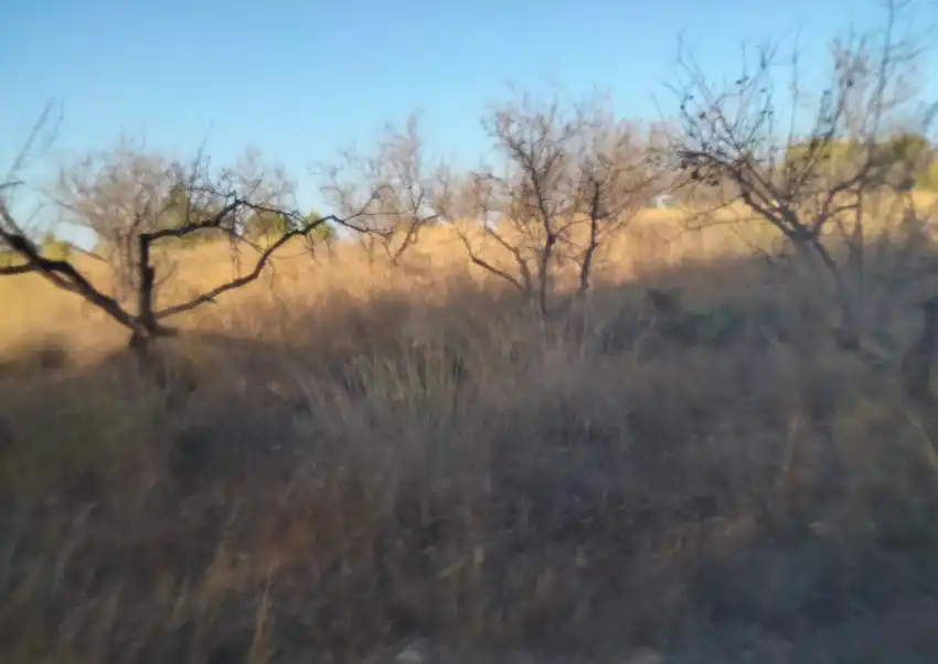 Terreno en venta en Torrent