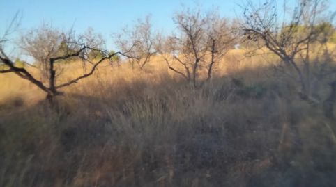 Foto 2 de Terreno en venta en Zona Avenida al Vedat, Torrent