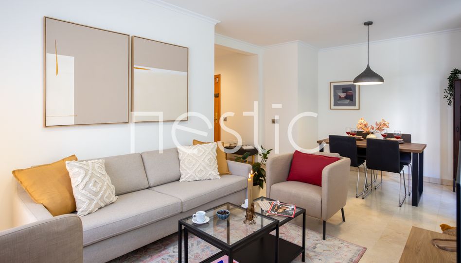 Apartamento de alquiler en Calle de Amara, 2, San Pascual - Imagen 5
