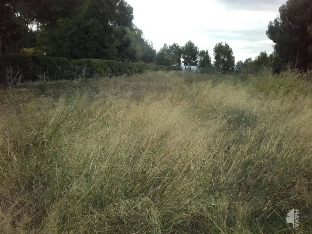 Terrenos y solares en venta en Partida Pla de la Cerdera, imagen 6