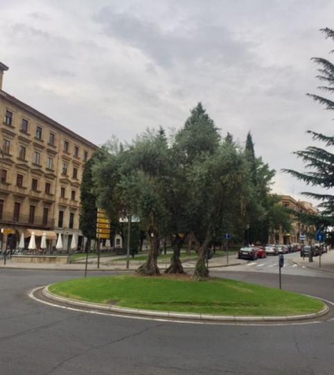 Foto 2 de Garaje de alquiler en San Esteban - San Cristóbal, Salamanca Capital