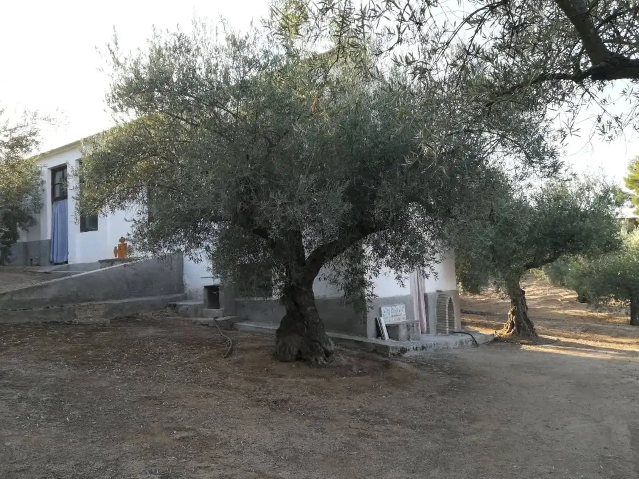 Garden of Buildings for sale in Toledo