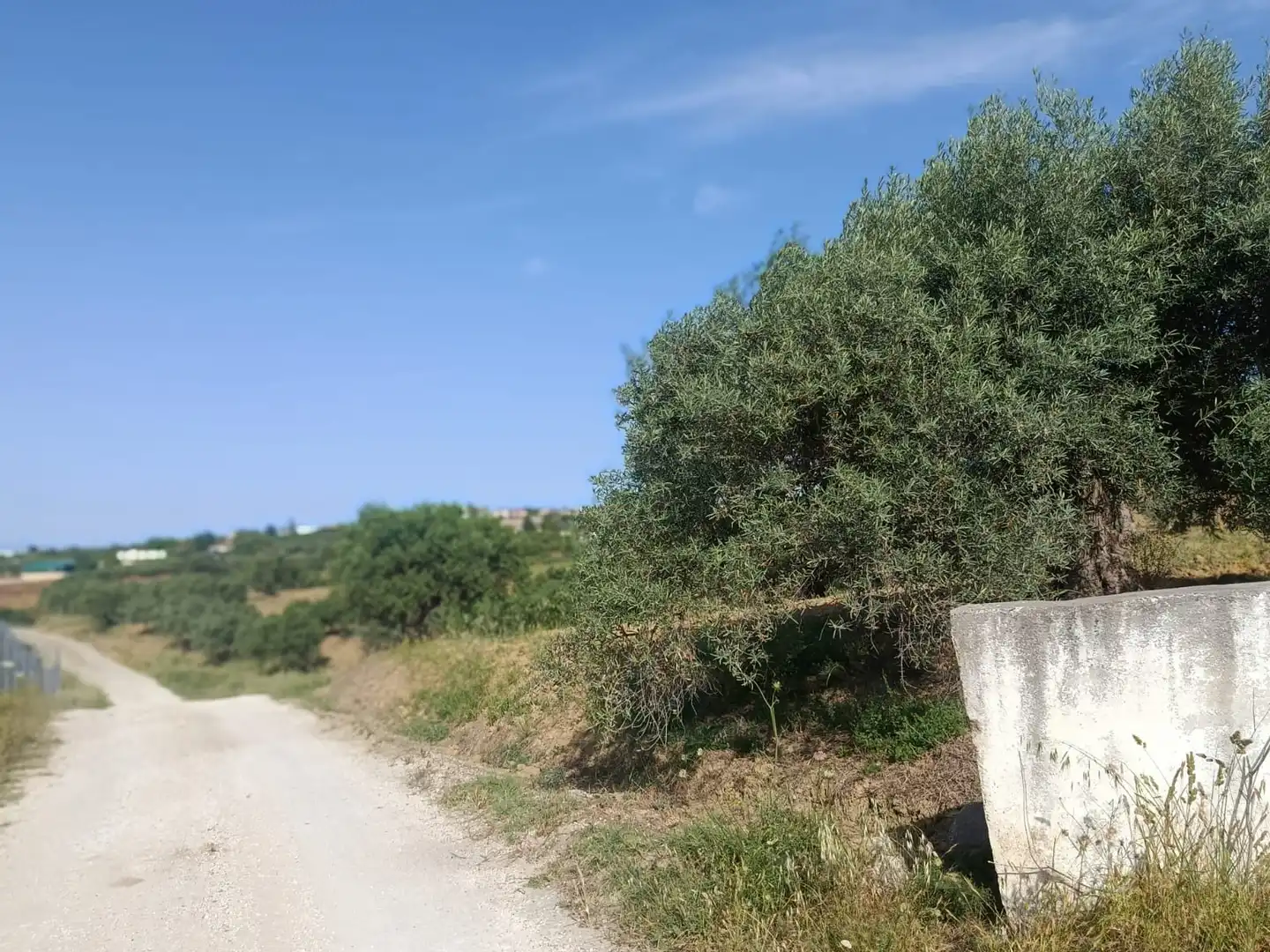 Terreni e lotti in vendita a Alquería - Torrealquería, imagen 4