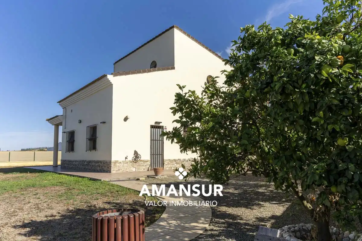 Vista exterior de Casa o xalet en venda en Villarrasa amb Aire condicionat, Calefacció i Jardí privat