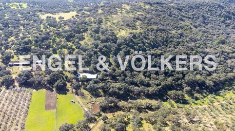 Photo 4 of Country house for sale in Cazalla de la Sierra, Sevilla