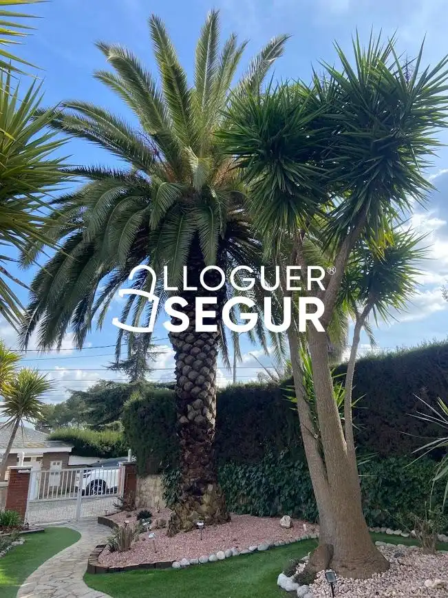 Casa o chalet de alquiler en Ronda Montmany, Pallejà