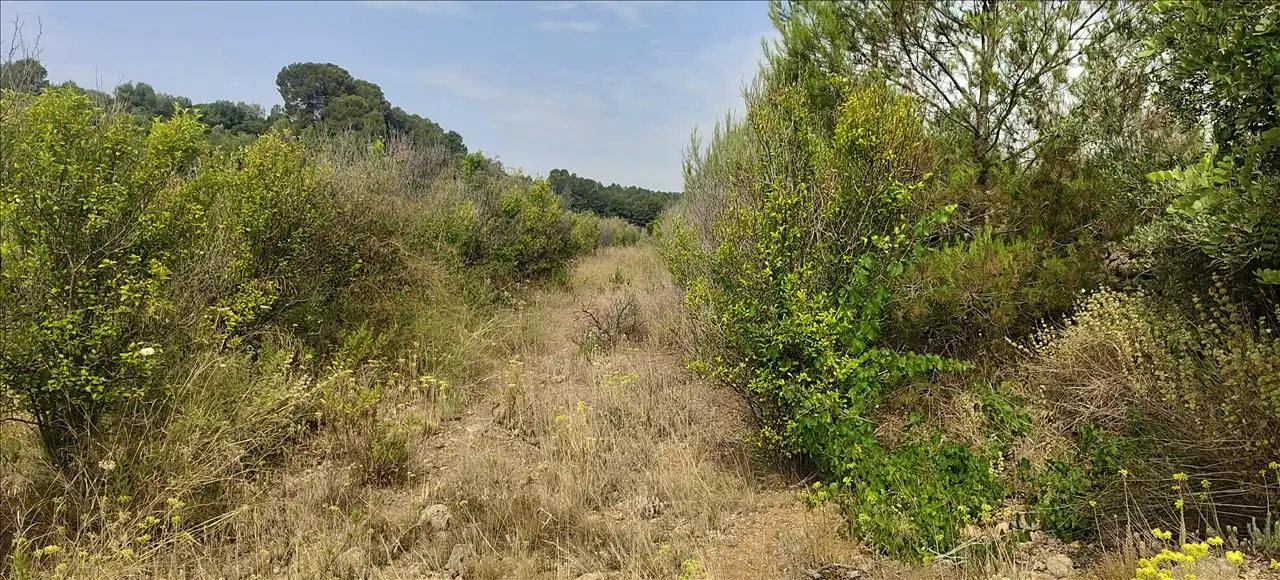 Residencial en venta en Estubeny