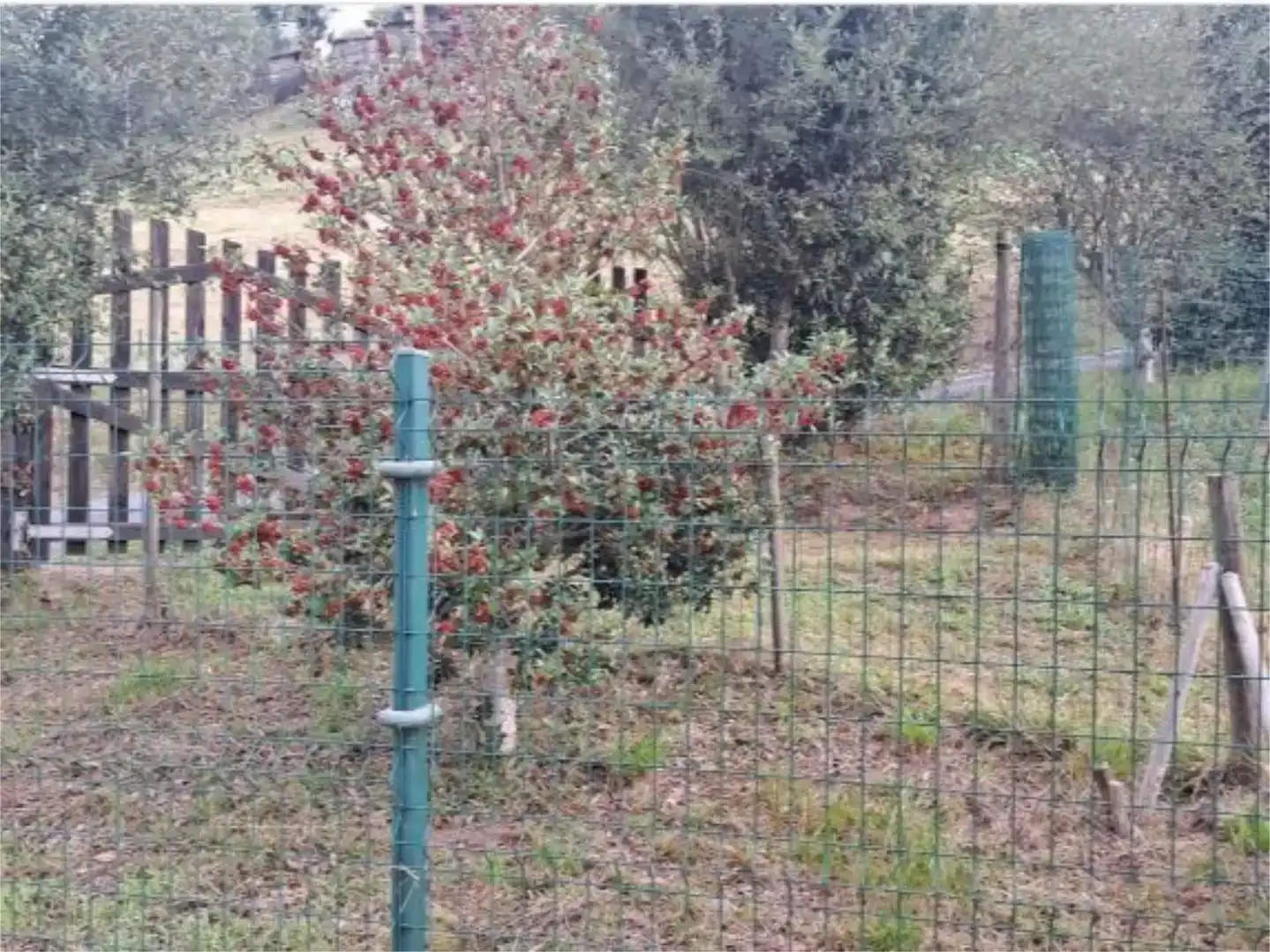Finca rústica en venda en Peñamellera Alta