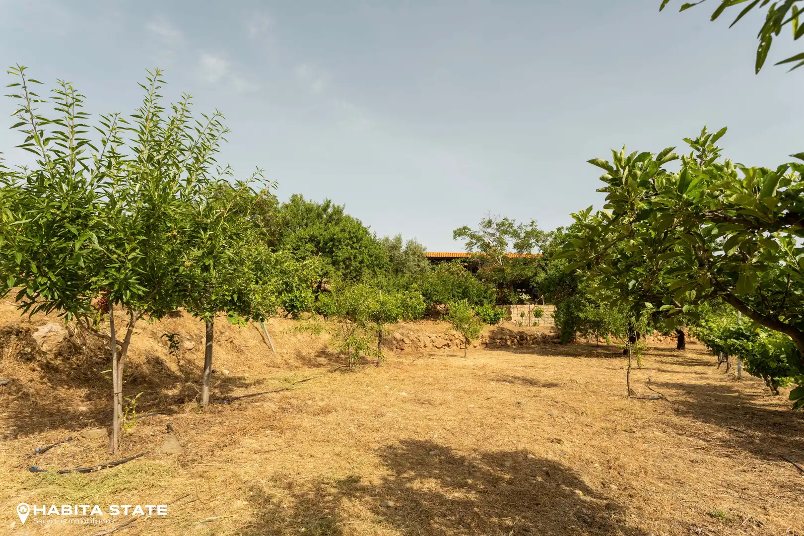 Finca rústica en venda en Canjáyar amb Jardí privat i Moblat