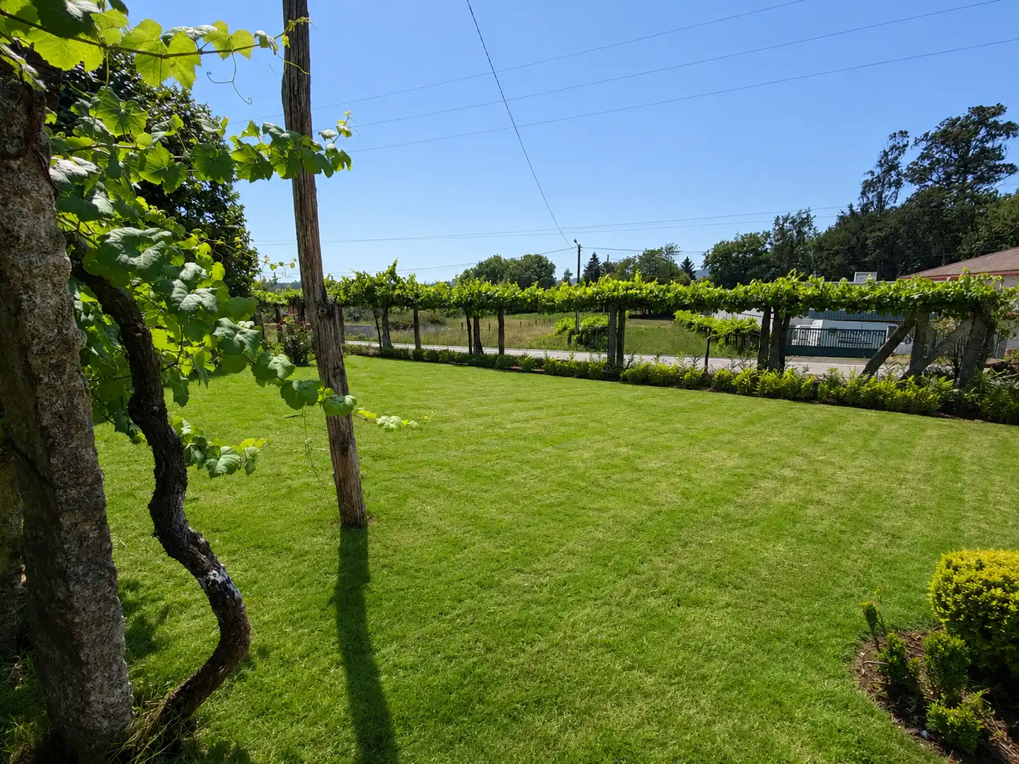 Jardí de Casa o xalet en venda en Salvaterra de Miño amb Jardí privat i Parquet