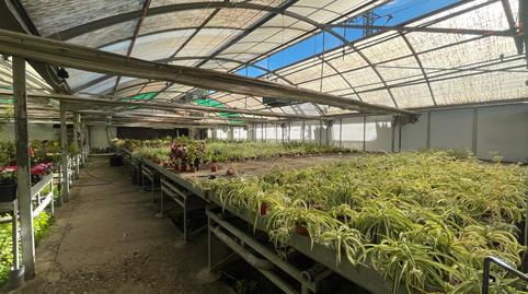 Foto 2 von Grundstücke zur Miete in Avenida de Madrid, La Garena, Alcalá de Henares