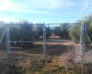 Residential for sale in Torreperogil