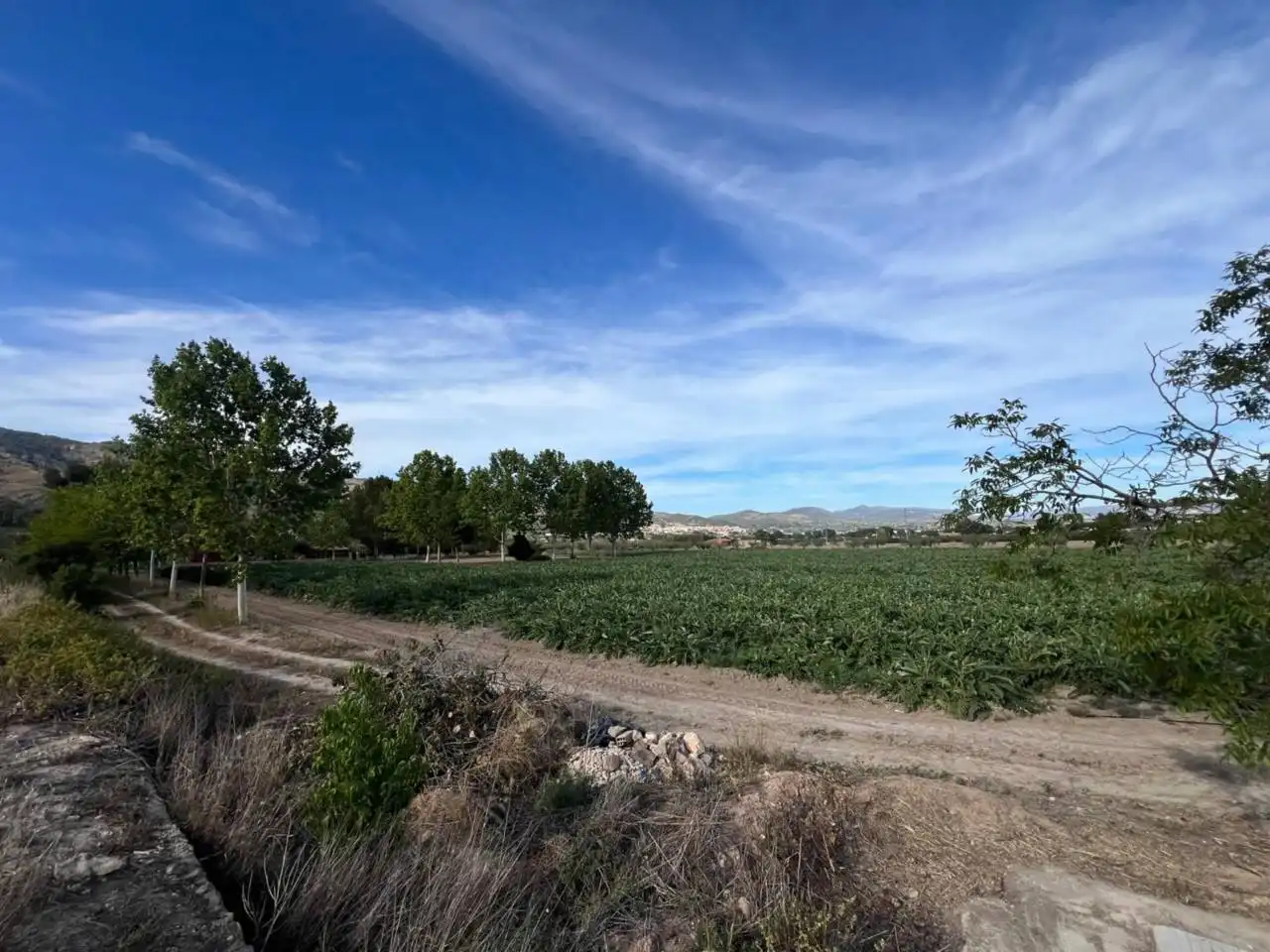 Terreny rústic en venda a Castalla, imagen 7