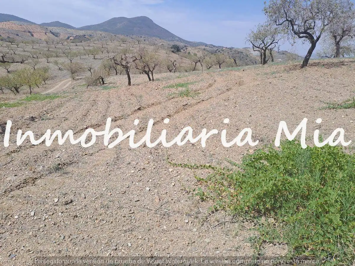 House for sale in Huércal-Overa, imagen 5