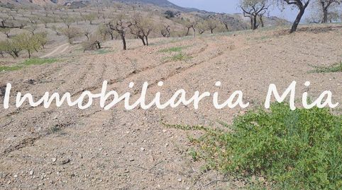 Se vende Finca con casa a reformar, imatge 5