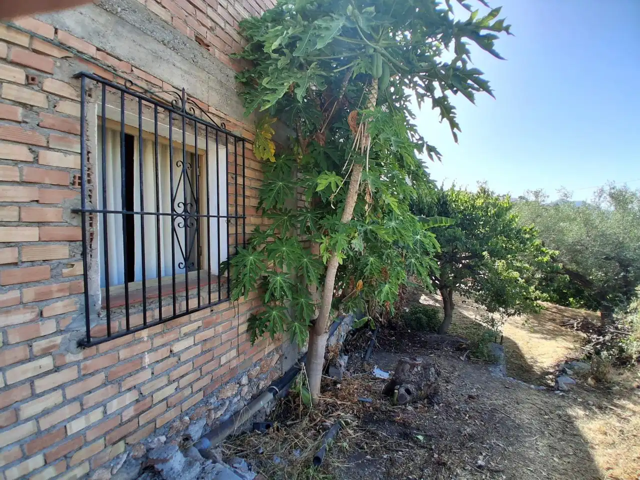 Sonstige zum Verkauf in Calle Carretera del Suspiro, imagen 21