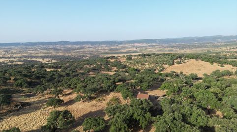 Foto 4 de Casa o chalet en venta en Camino de Villavieja, San Vicente de Alcántara, Badajoz