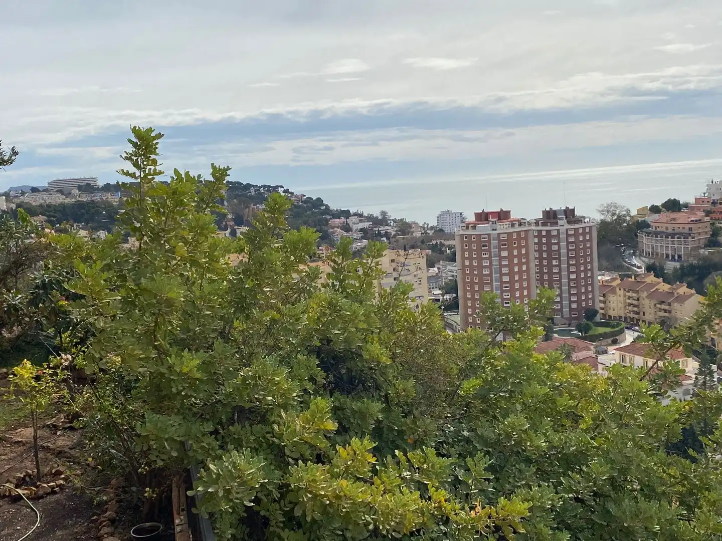 Houses for sale in Calle Sierra de Yeguas, Limonar