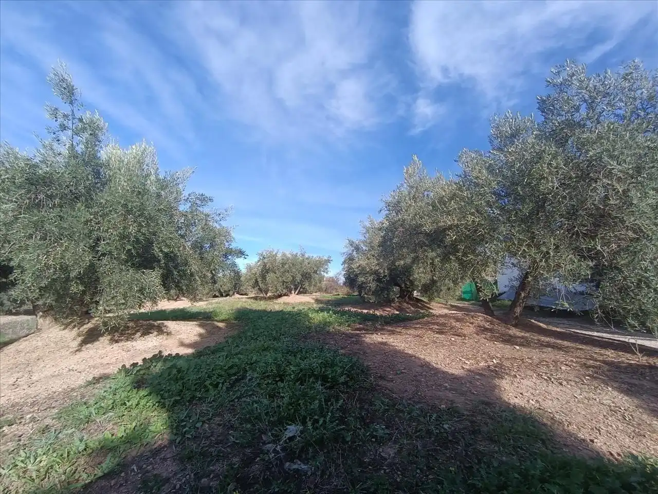 Residential land for sale in Proc. Simplificado, imagen 2