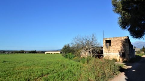 Photo 2 of Country homes for sale in Llubí, Illes Balears