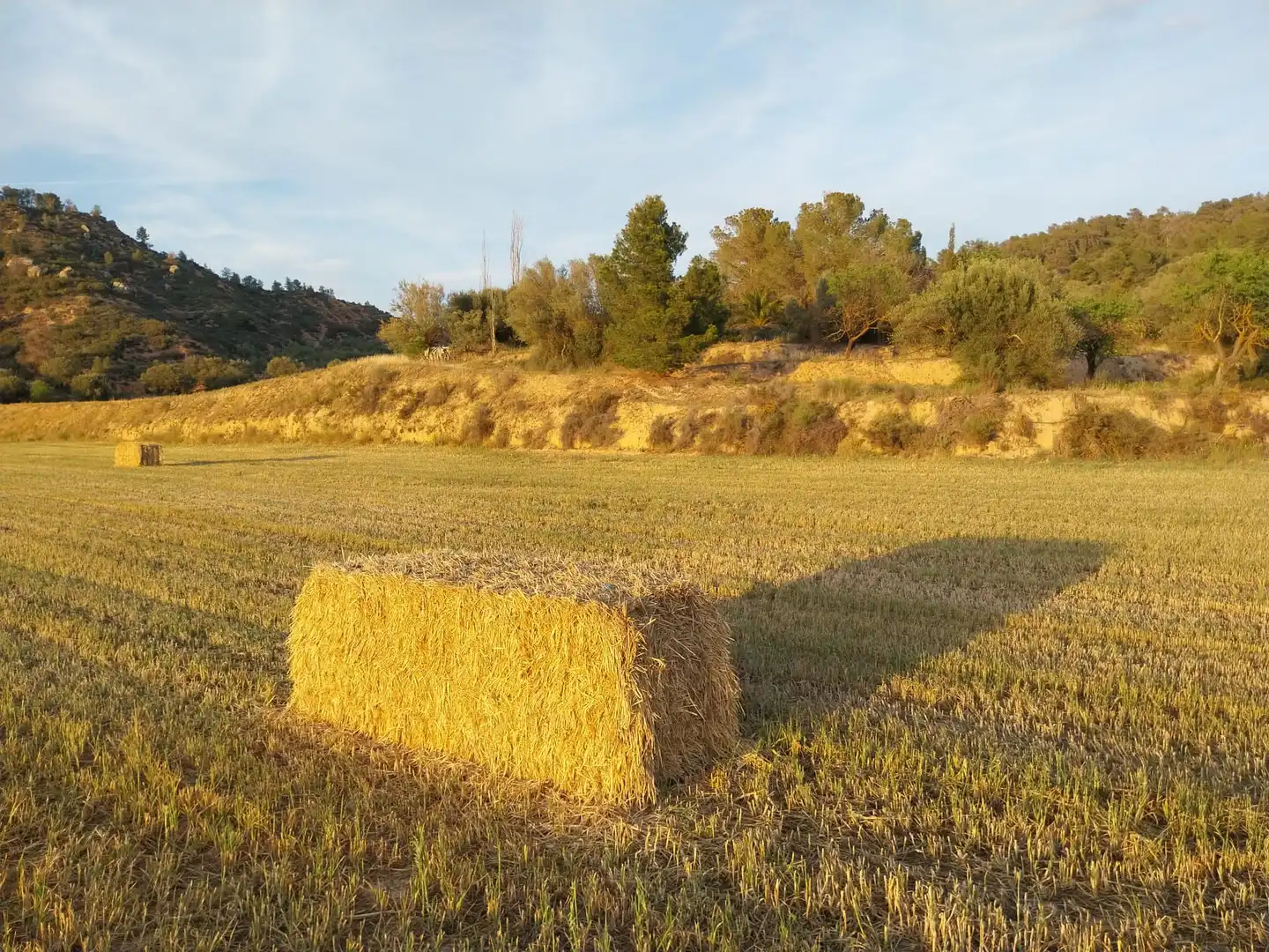 Terreno en venta en La Torre de l'Espanyol