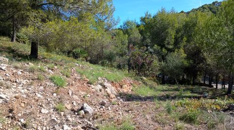 Foto 3 de Residencial en venta en Can Baró, Barcelona Capital