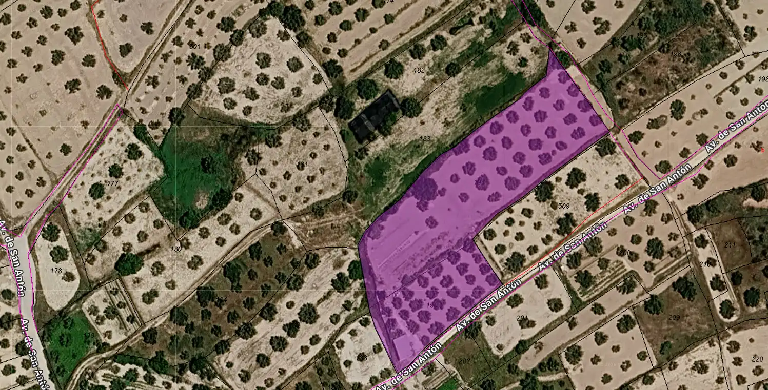 Lands and plots for sale in Bullas