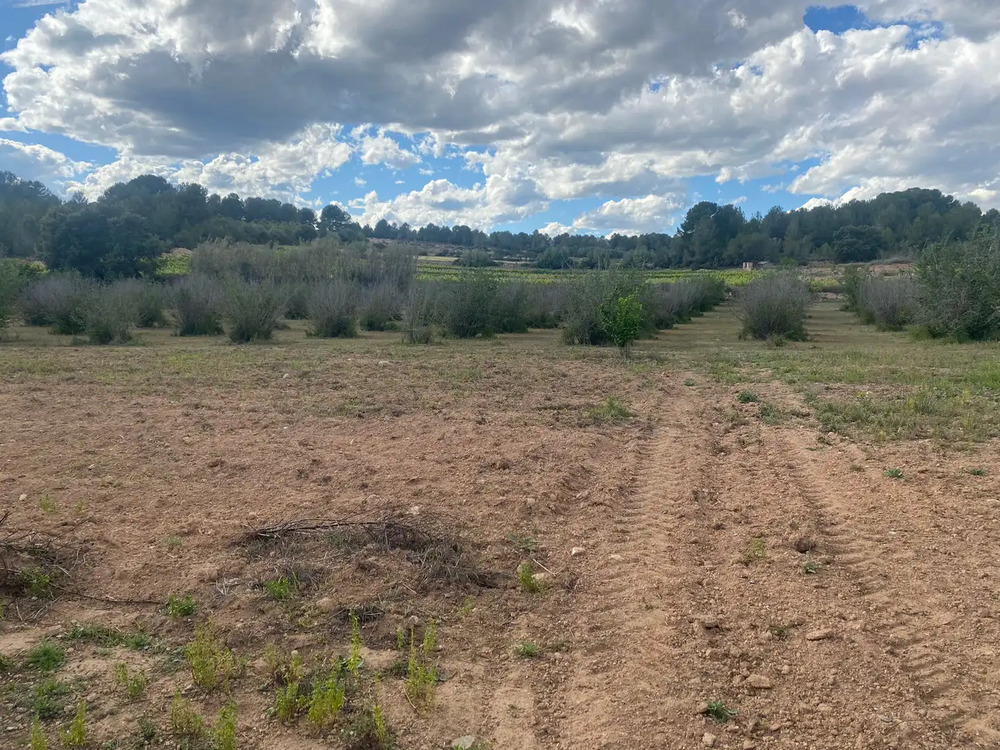 Terreno rustico in vendita a Perafort, imagen 6