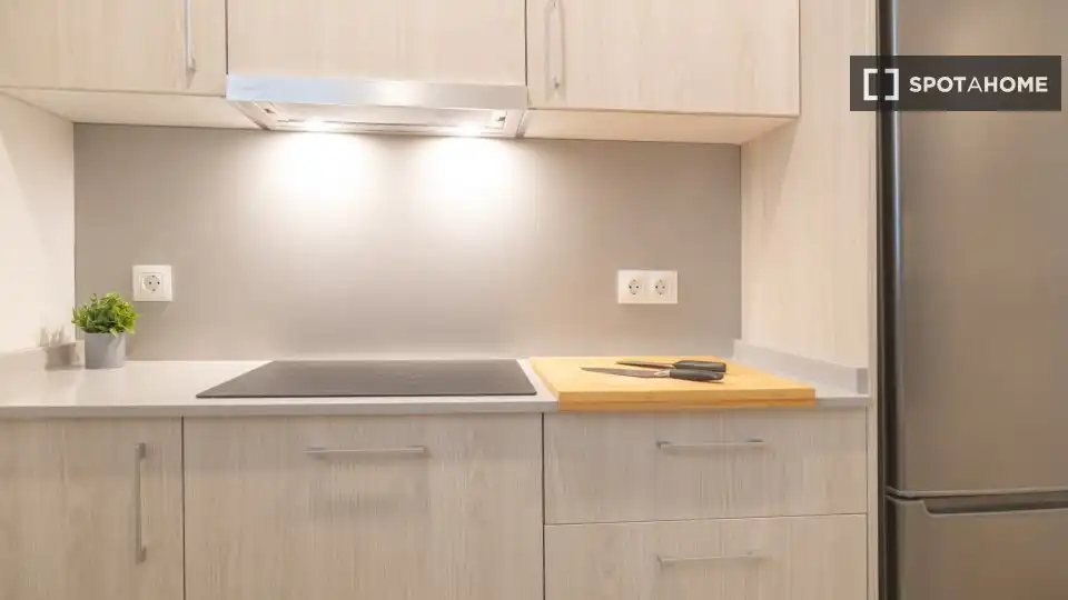 Kitchen of Flat for rent in Madrid  with Air Conditioner, Heating and Furnished
