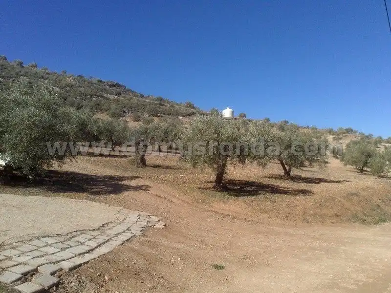 Finca rústica en venta en Cuevas del Becerro con Amueblado