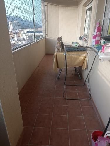 Terrassa de Pis en venda en Alcoy / Alcoi amb Calefacció, Traster i Balcó